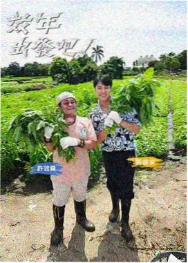 808影视 综艺 直播实验室 封面 模拟公司办公区